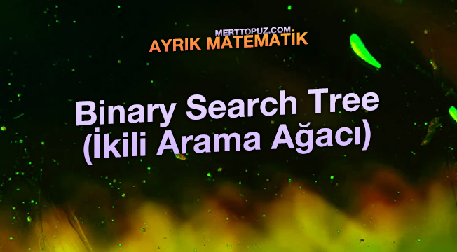 Ayrık Matematik - Binary Search Tree (İkili Arama Ağacı)